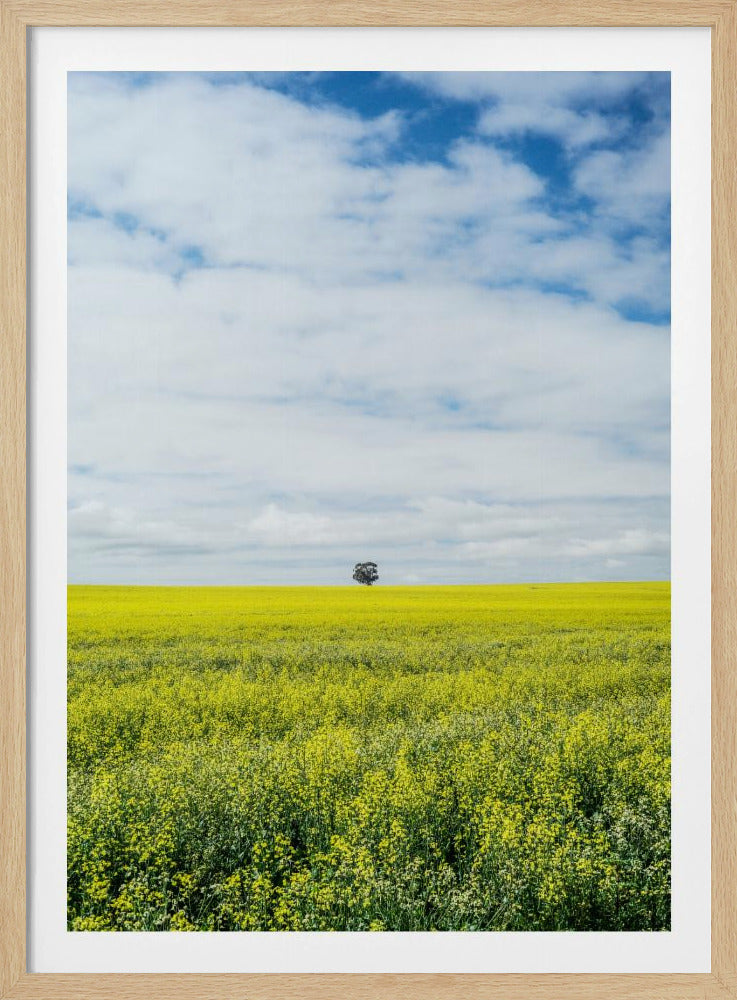 Solitary Tree Horizon | Poster