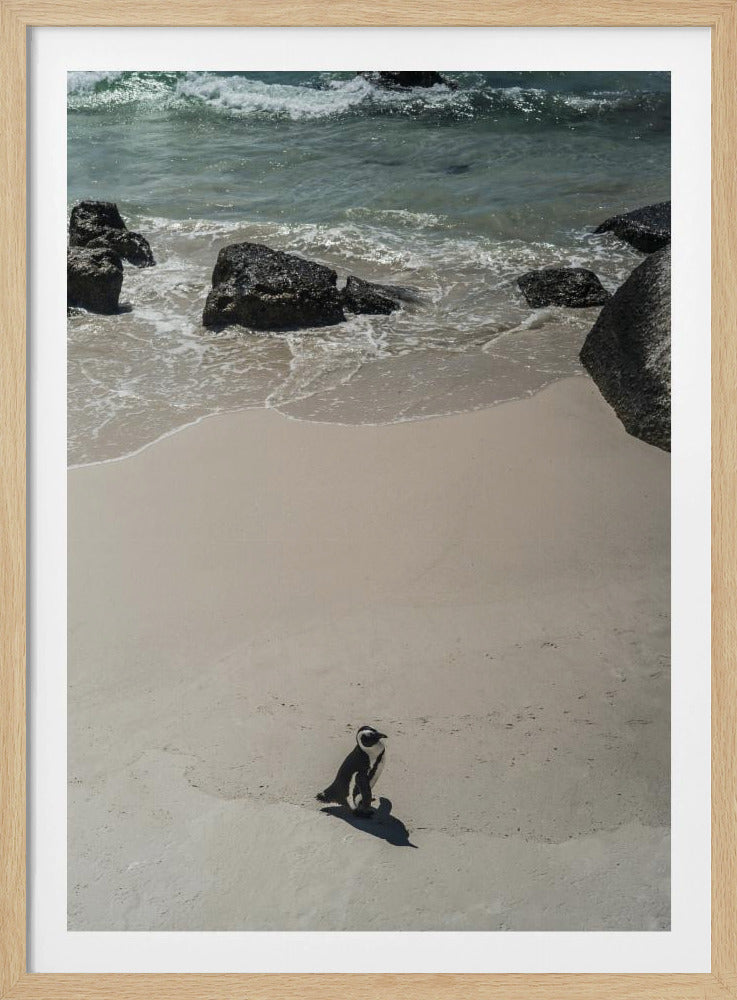Lonely Beach Stroll | Poster