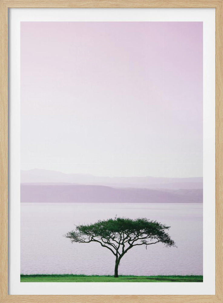Tree By A Tranquil Lake | Poster