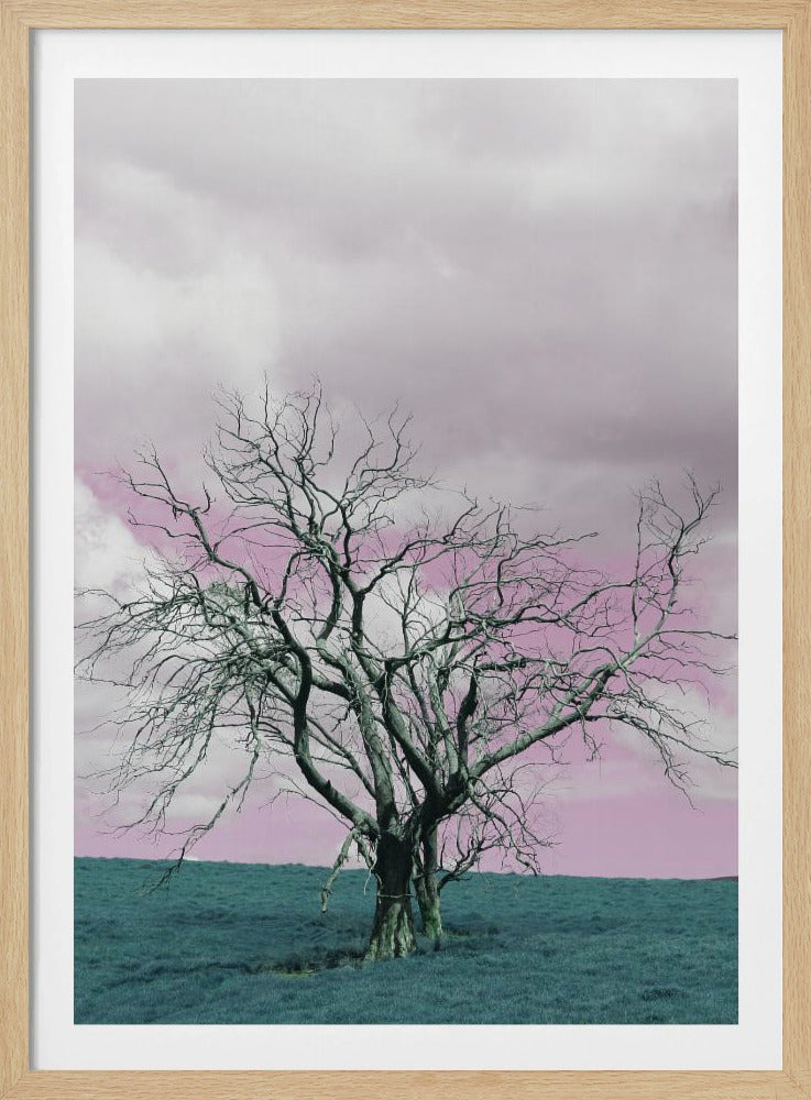 Barren Tree Against A Dreamy Pink Sky | Poster