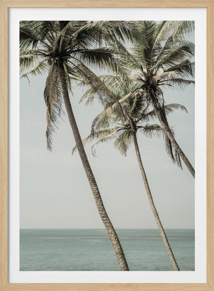 Ocean Breeze Palms | Poster