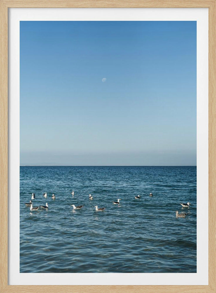 Moonlit Seabirds | Poster