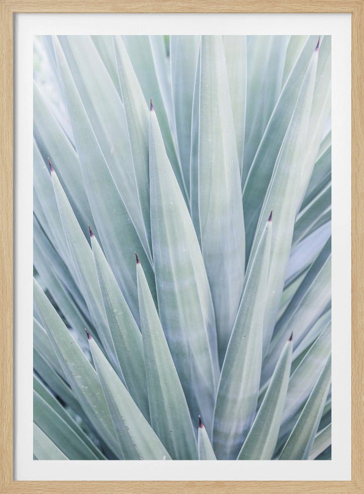 Azure Agave Dance | Poster