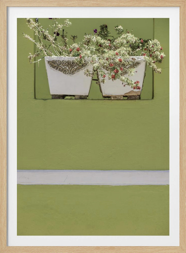 Wall Garden | Poster