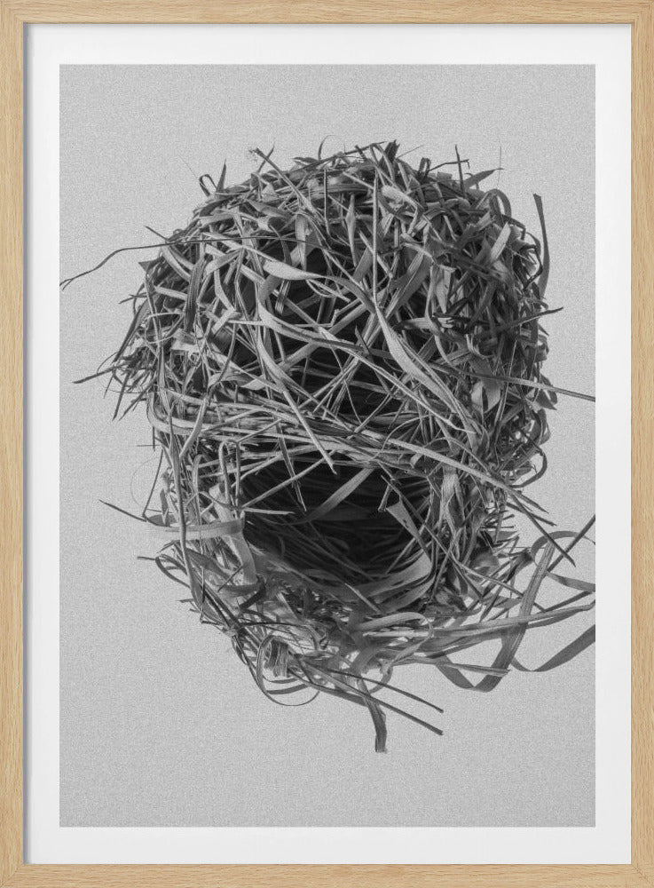 Weavers Nest | Poster