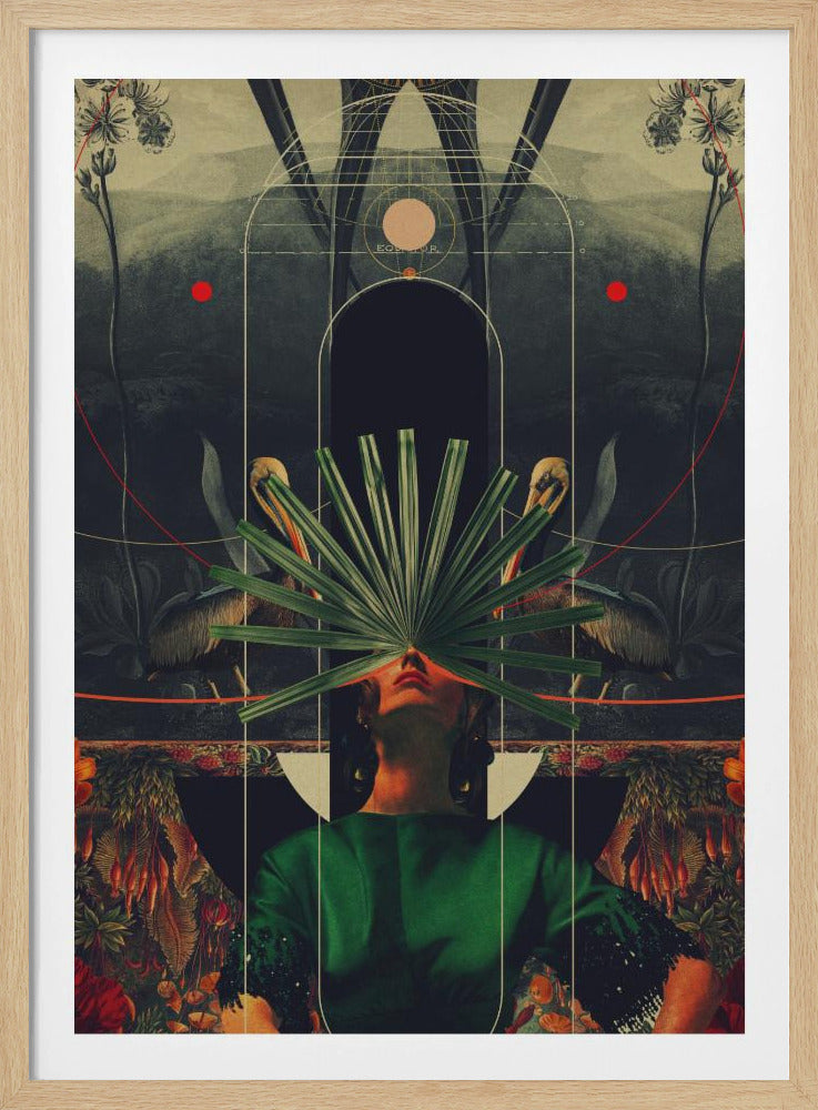 She Saw the Equator | Poster