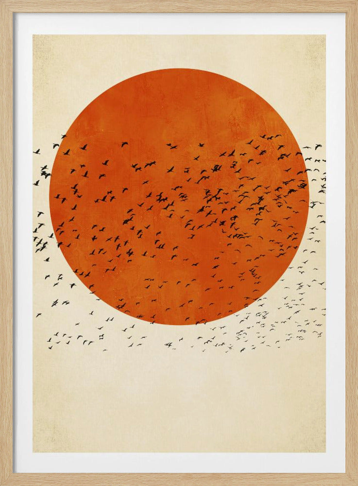 Birds In the Sun | Poster