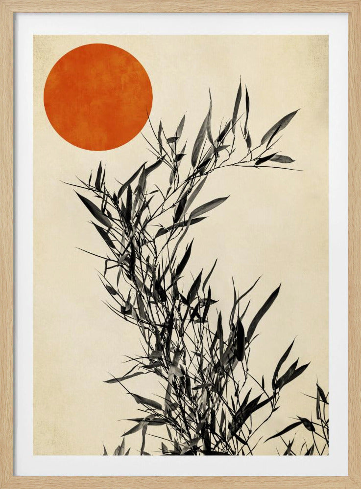 Japanese Birch | Poster