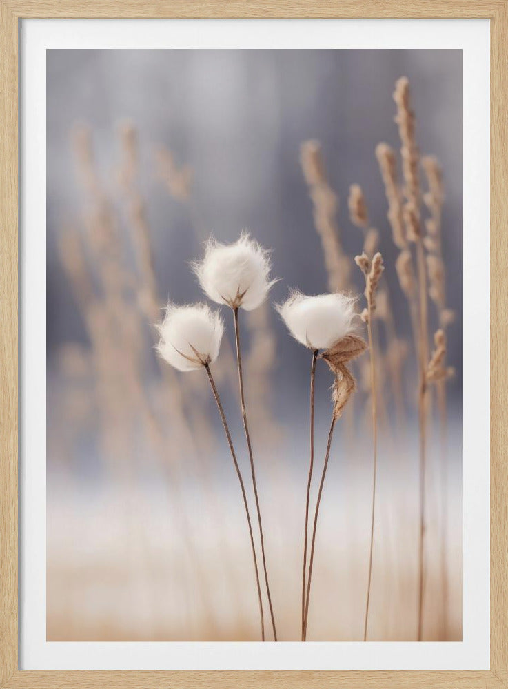 Winter Whispers | Poster