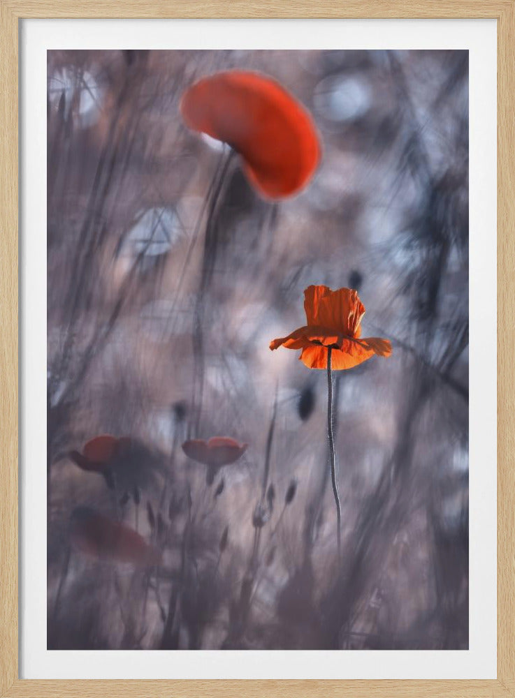 Desires and Passions | Poster