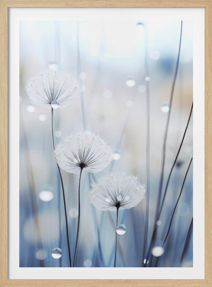 Whispering Seeds | Poster