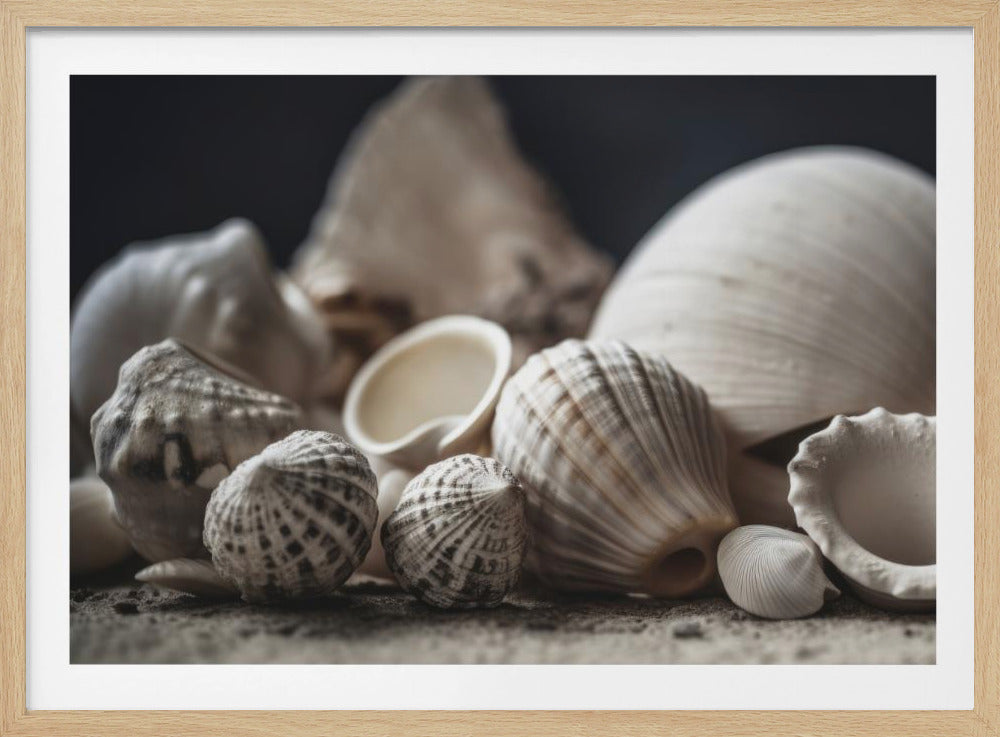 Seaside Treasures | Poster