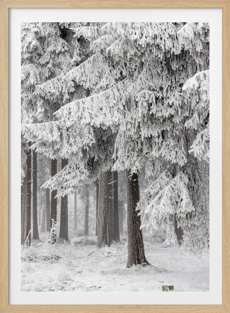 Winter Forest 2 | Poster