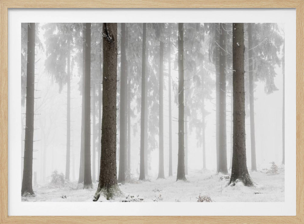 Winter Forest | Poster