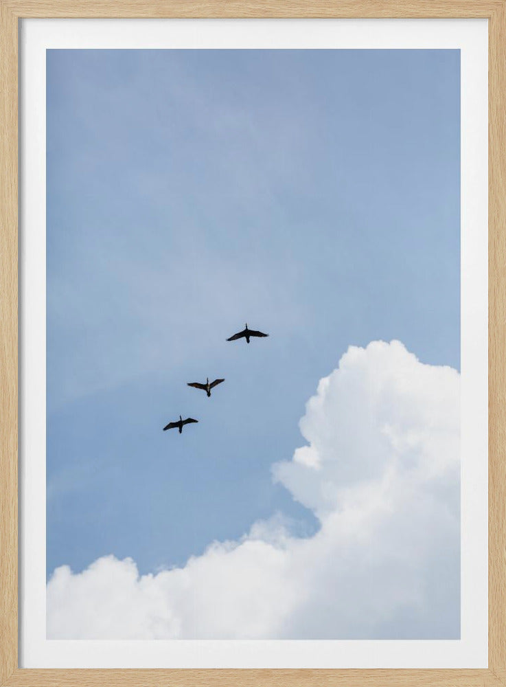 Flying Home | Poster