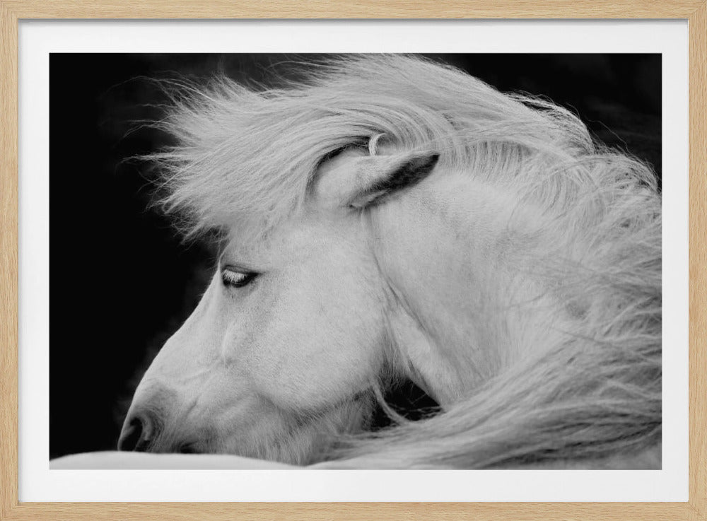 Listen to the Wind | Poster