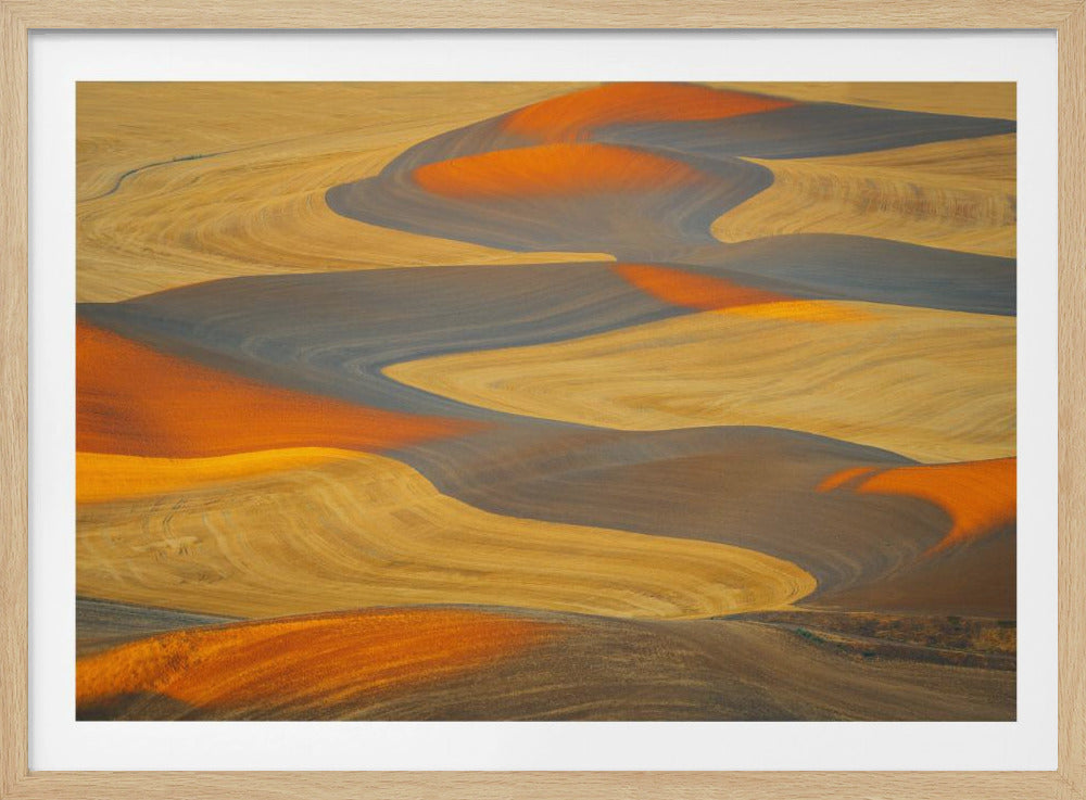 Painted Land | Poster