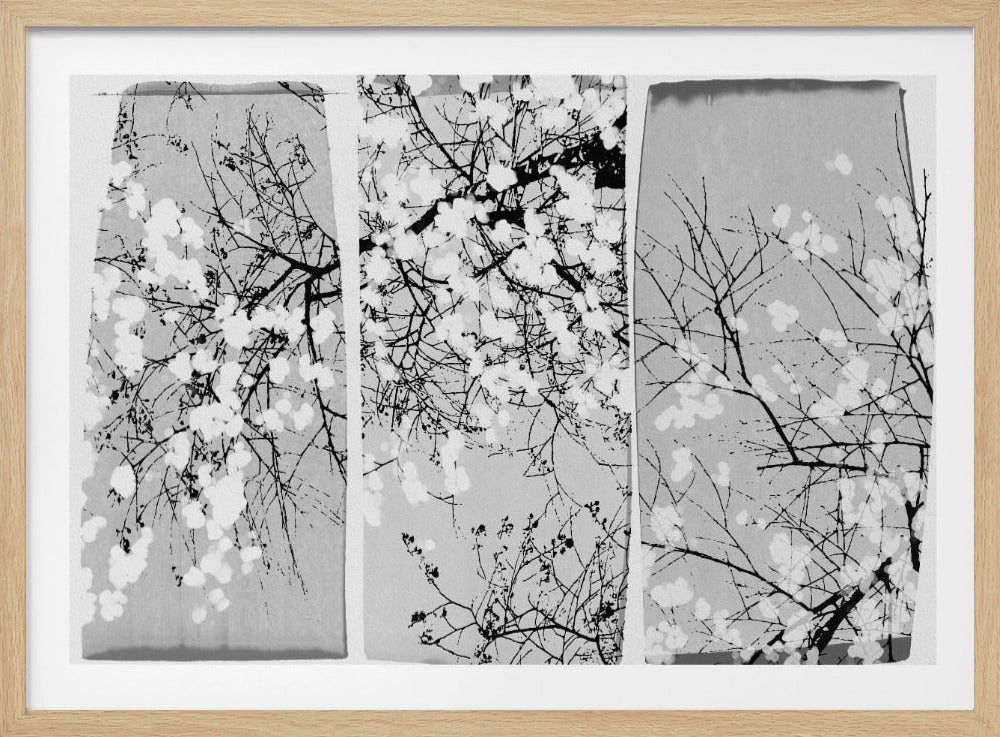 Oriental Blossom | Poster