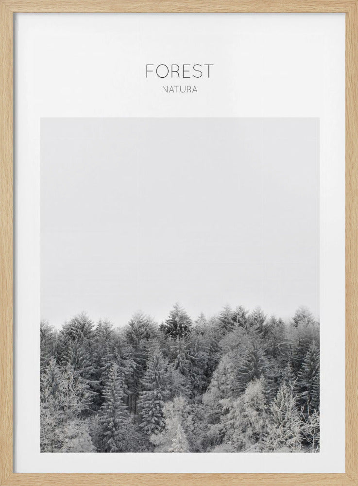 Frosted Tranquility | Poster