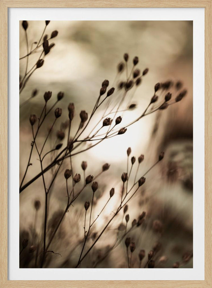 Autumn Lights | Poster