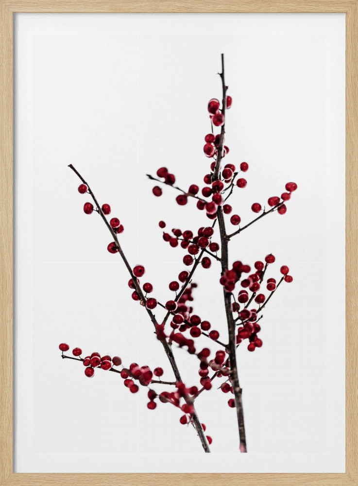 Red Berries 2 | Poster