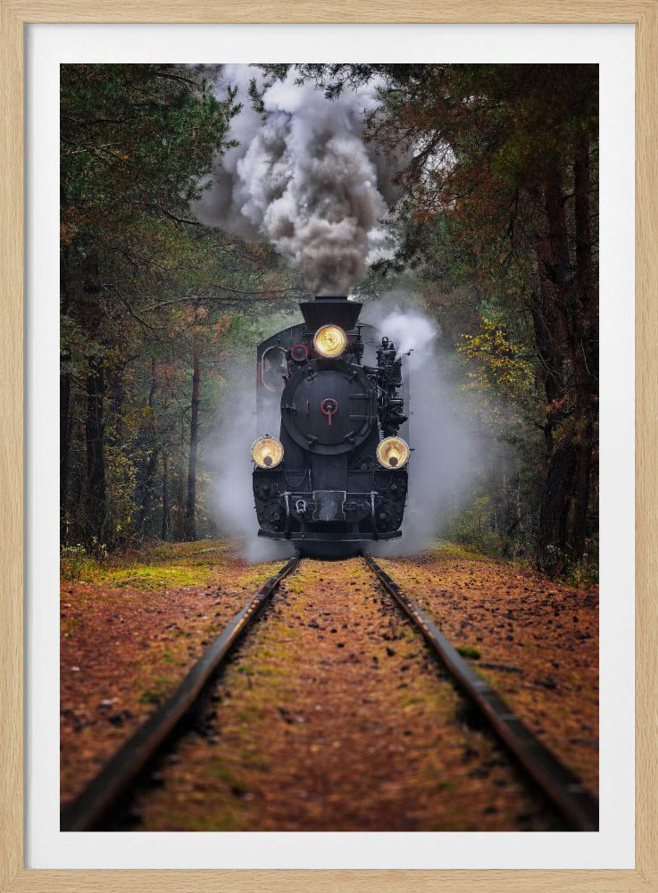 Through the autumn forest | Poster