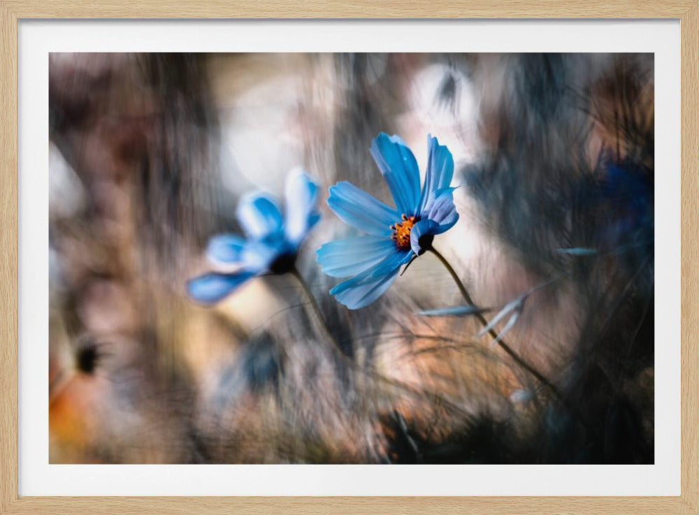 The two of us | Poster