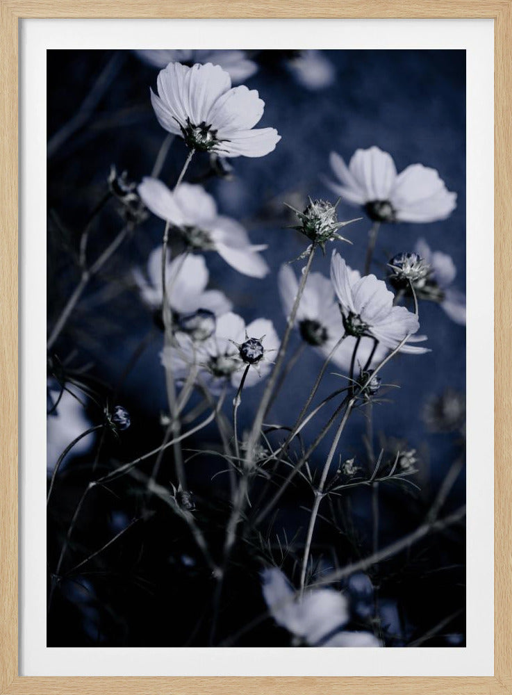 Wild Flowers 10 | Poster