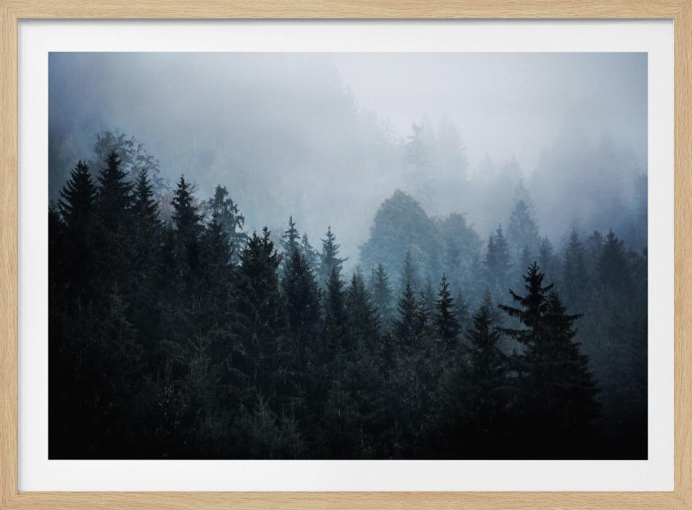 Foggy Woods 5 | Poster