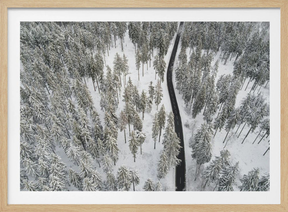Snow Covered Trees 5 | Poster