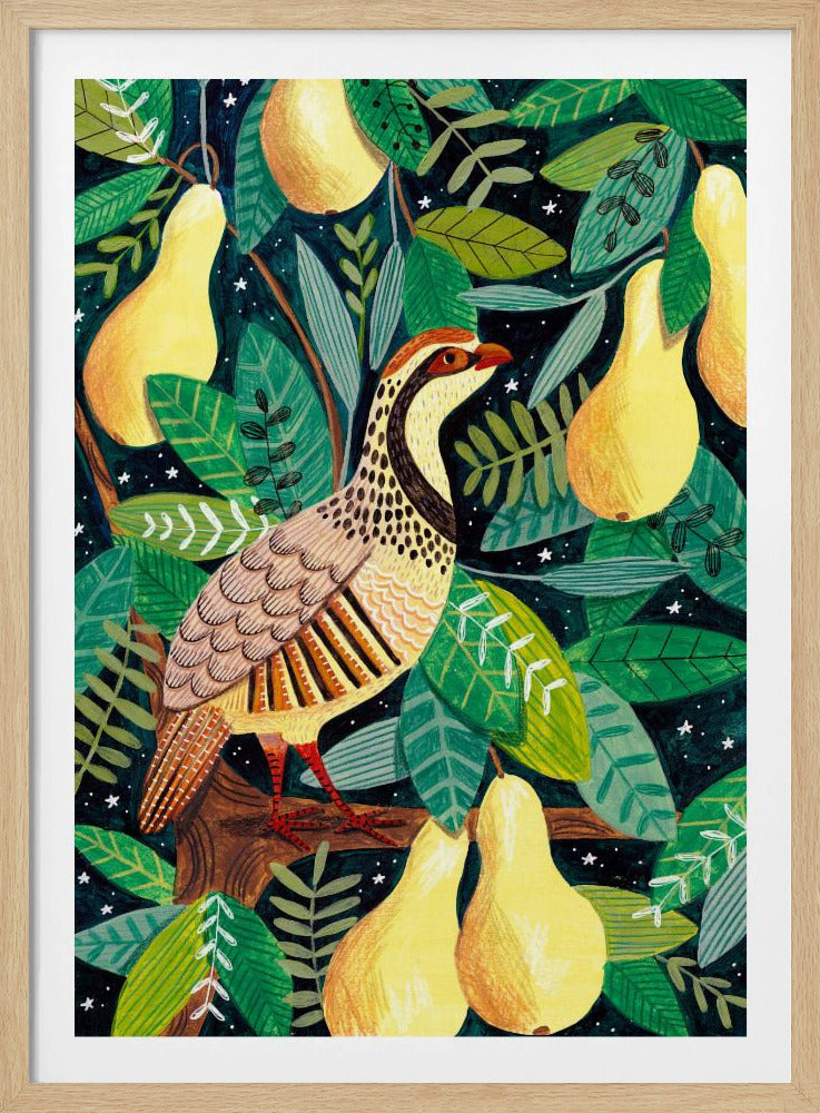 Partridge in a pear tree | Poster