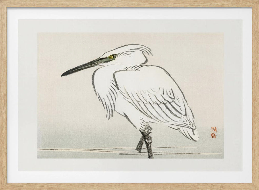 Snowy Egret | Poster
