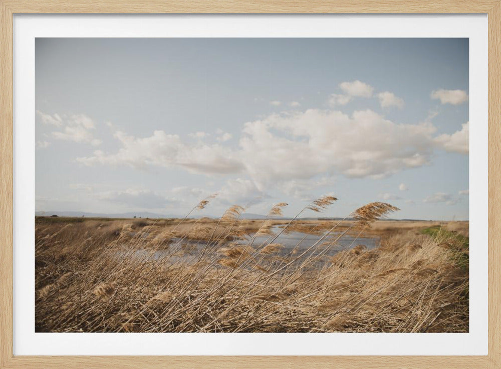 Marshland No.6 | Poster