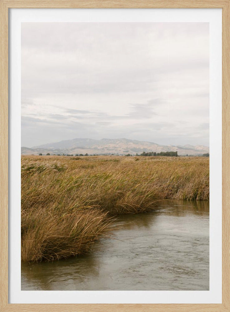 Marshland No.2 | Poster