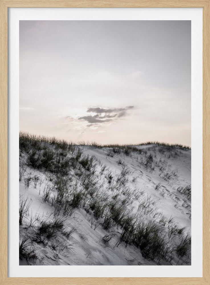 At The Coast | Poster