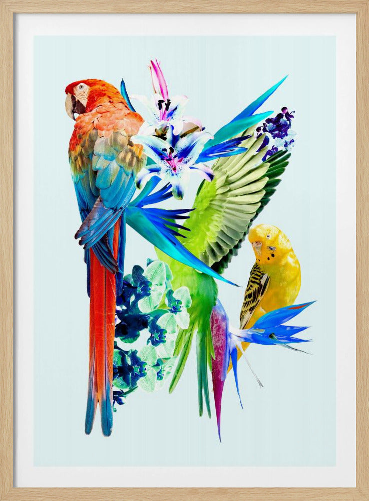 Birds of Paradise I | Poster
