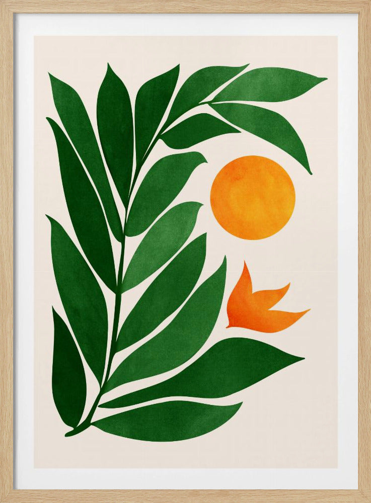 Tropical Forest Sunset | Poster