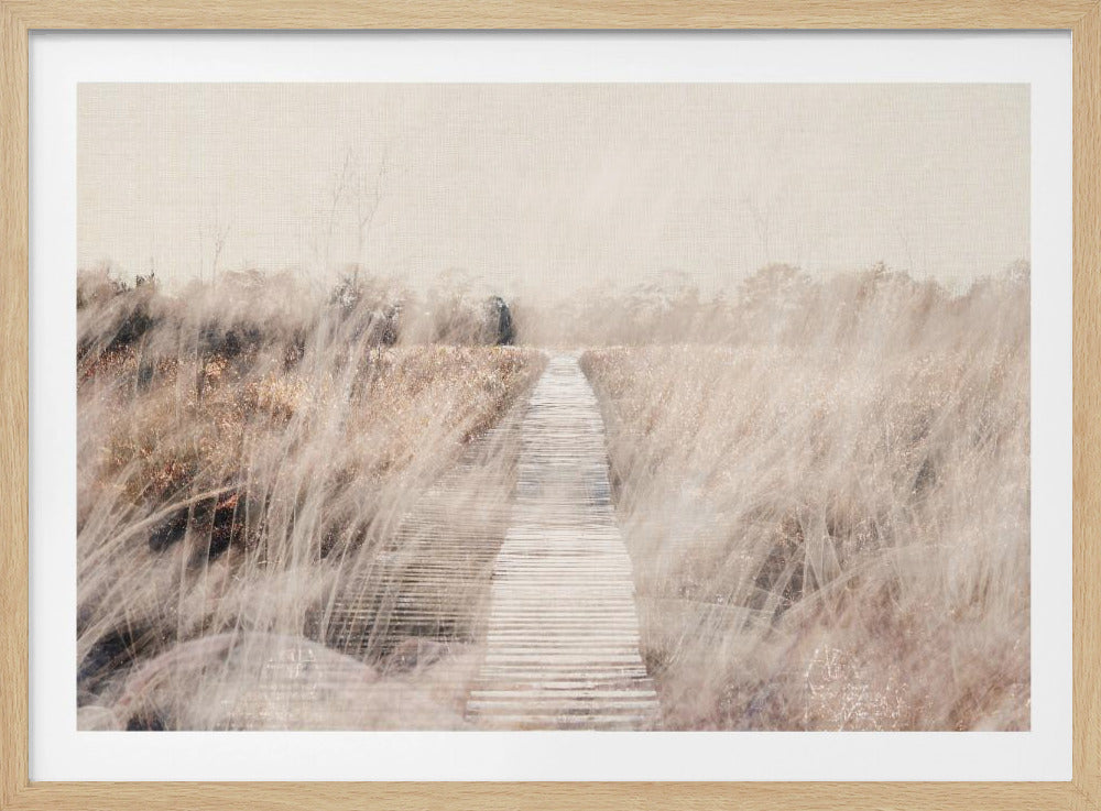 Dreamy landscape | Poster