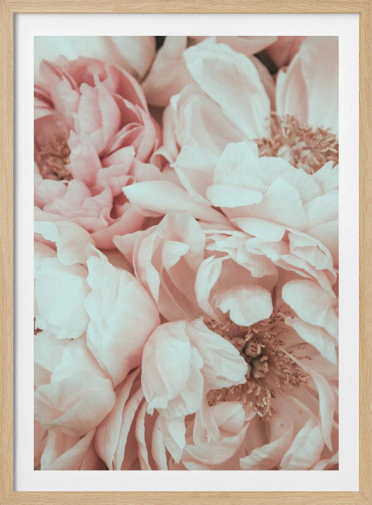 Blossom Mix | Poster