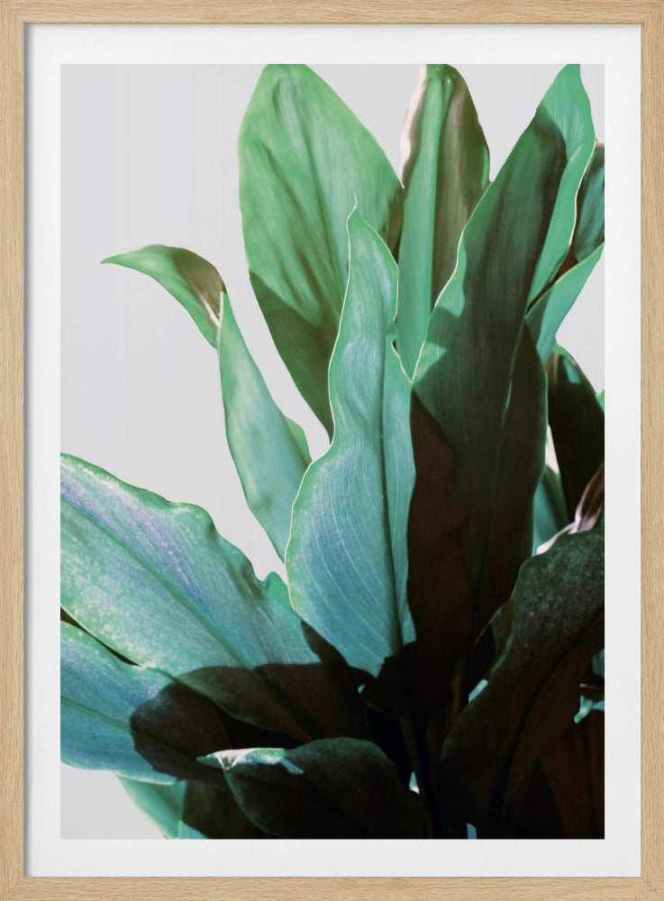 Green Leaves | Poster