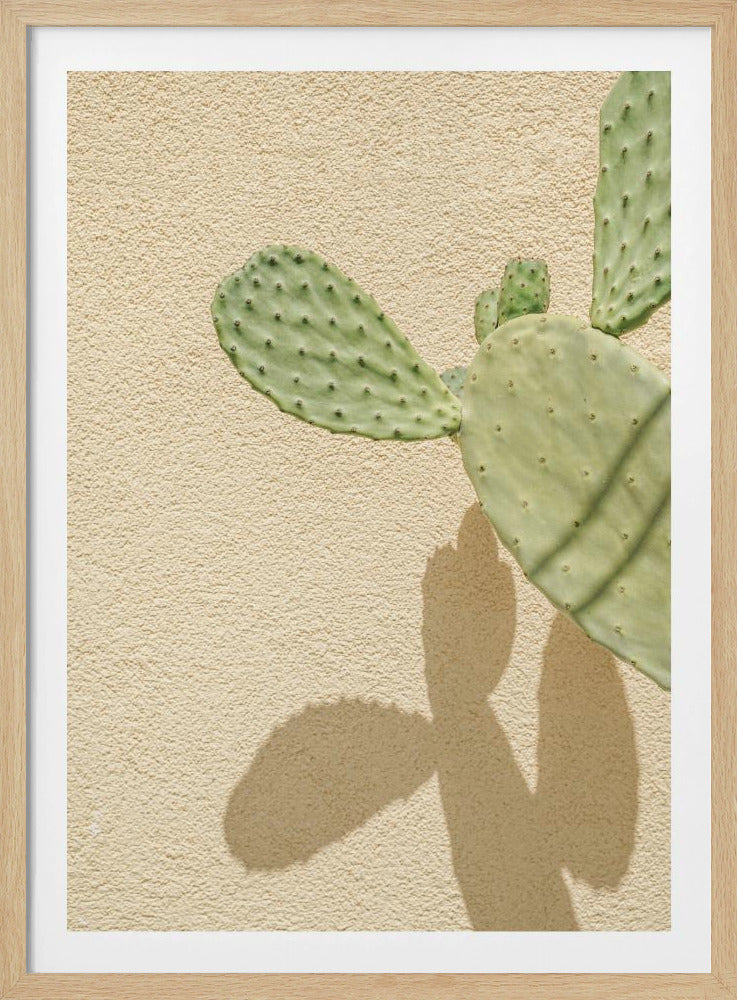 Cacti Shadowplay | Poster