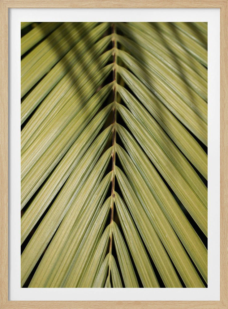 Tropical Leaf | Poster