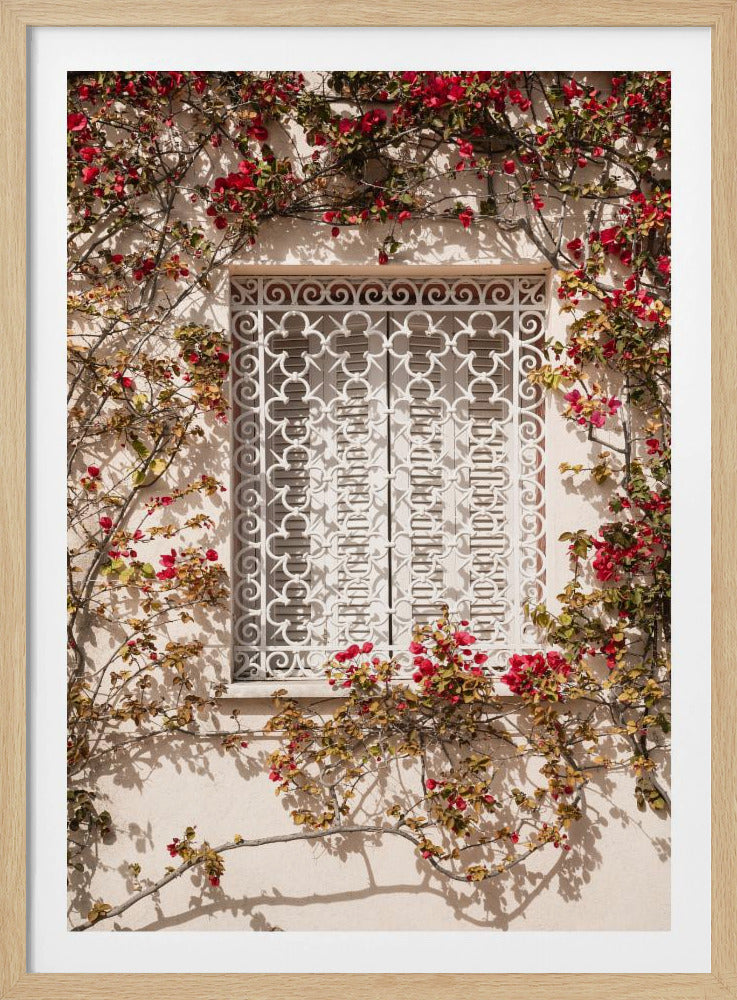 The Red Frame | Poster