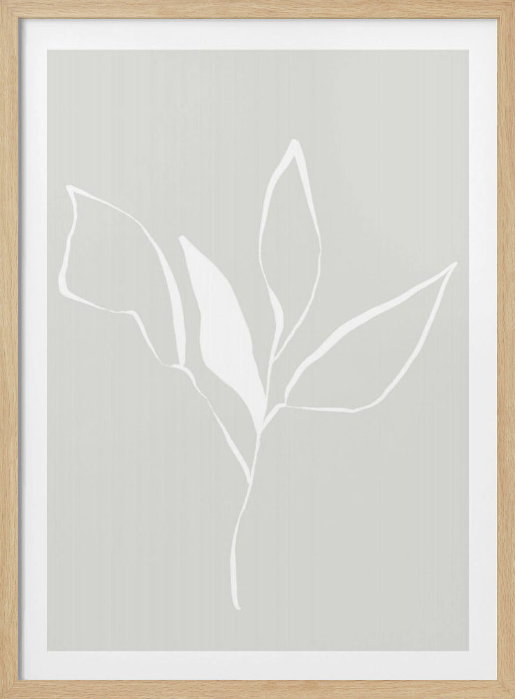 Whispers of Nature With Soft Flower | Poster