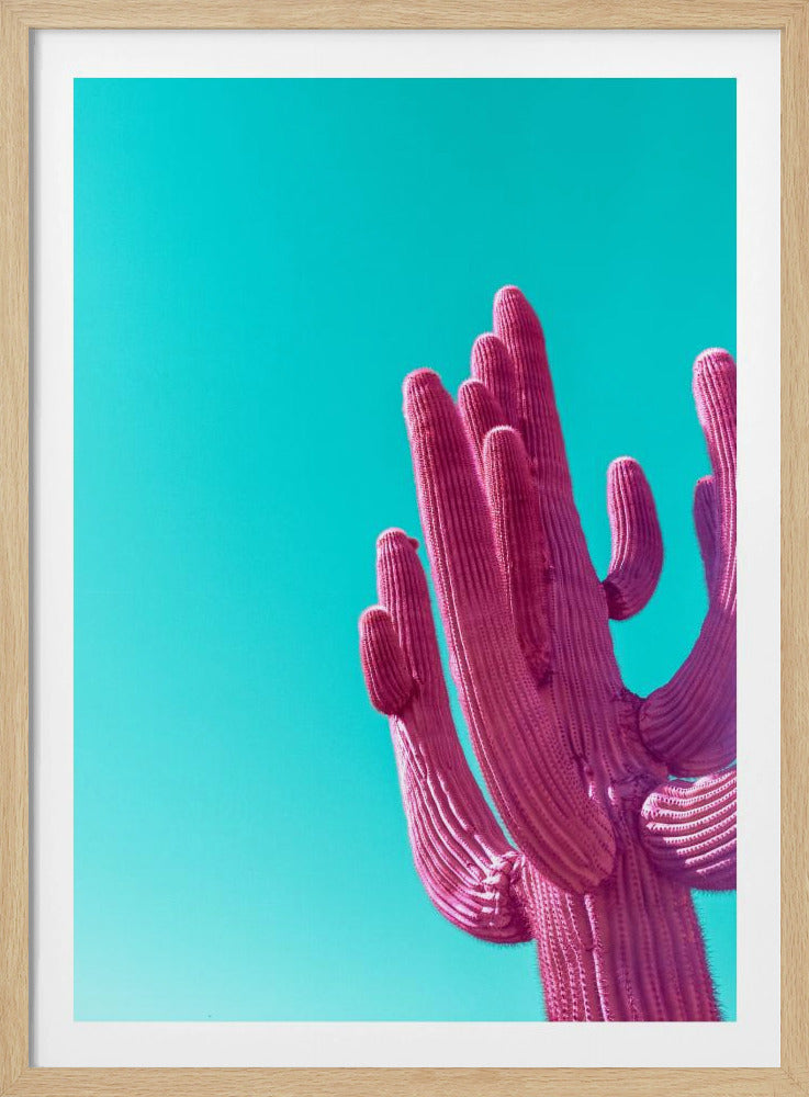 Magenta Pink Saguaro | Poster
