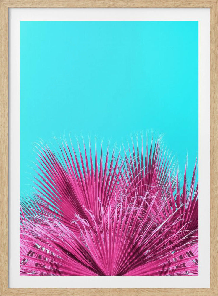 Electric Pink Palm Fronds | Poster