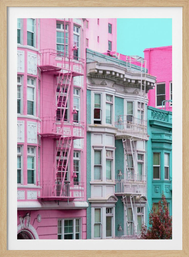 Pink and Blue Row Houses in San Francisco | Poster