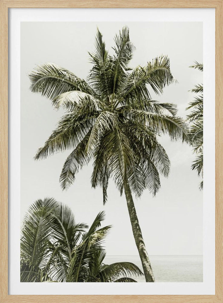 Palm Trees by the ocean | Vintage | Poster