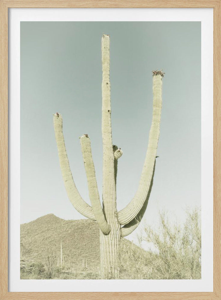 SAGUARO NATIONAL PARK Vintage Giant Saguaro | Poster