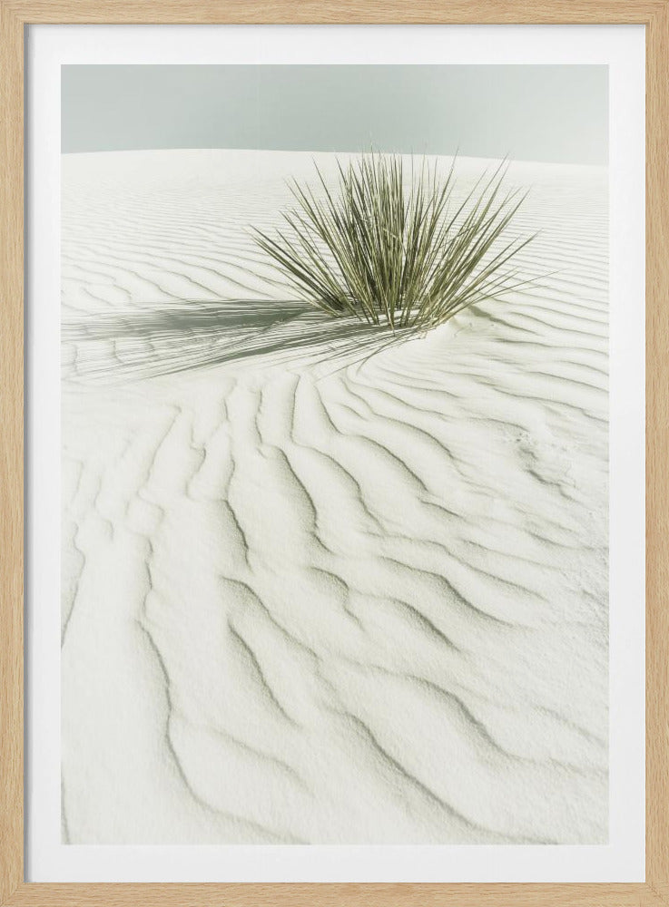 WHITE SANDS Idyllic vintage scenery | Poster